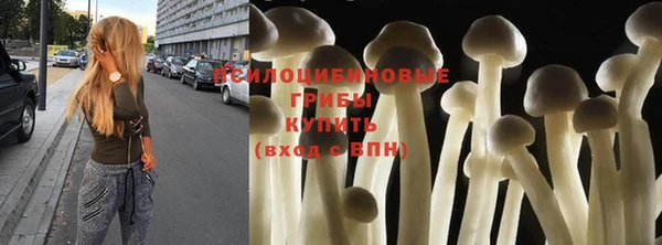 экстази Алексин