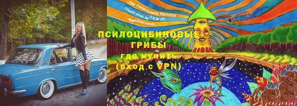 apvp Белая Холуница