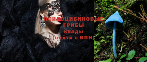 крисы Алексеевка