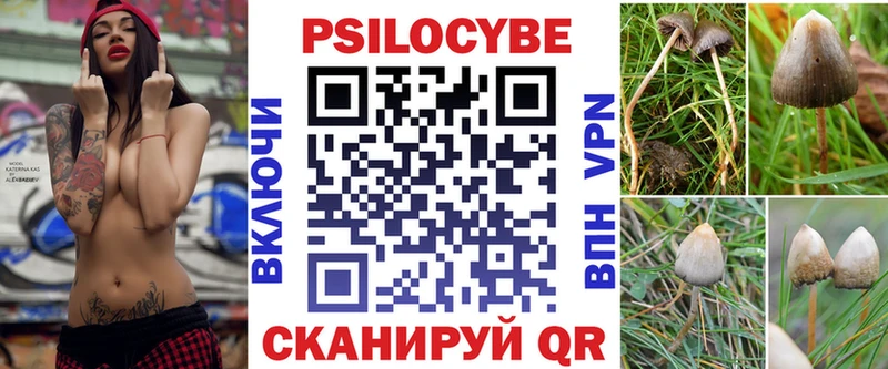 Псилоцибиновые грибы Psilocybe  дарк нет Telegram  Закаменск 